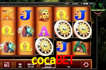 A Experiência Imersiva dos Cassinos Ao Vivo no cocabet